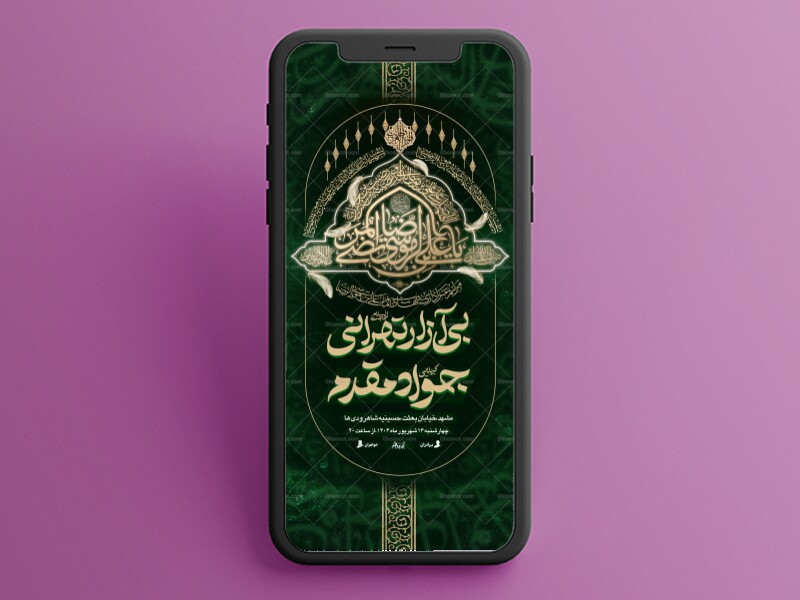 تقی-النقی2┇شهادت-امام-رضا┇استوری